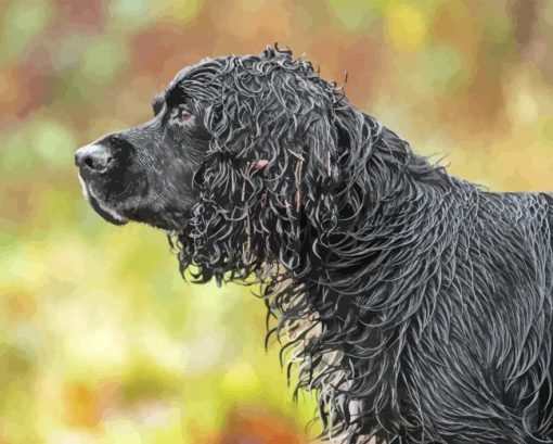 black english spaniel dog Diamond Paintings