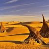 Hut in Desert 5D Diamond Painting