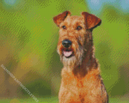irish terrier Diamond Paintings