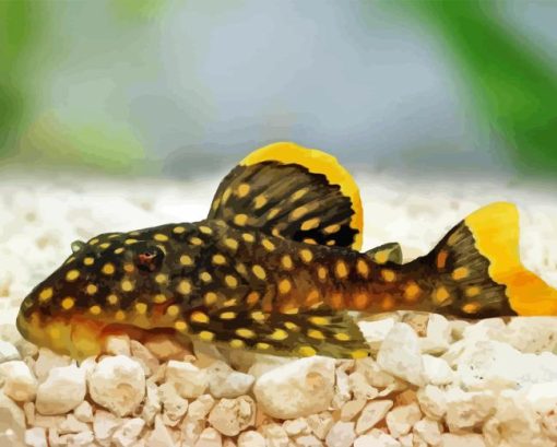 pleco fish Diamond Paintings