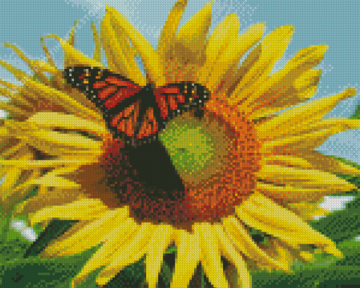 sunflower butterfly Diamond Paintings