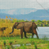 African Zambezi Nature 5D Diamond Painting