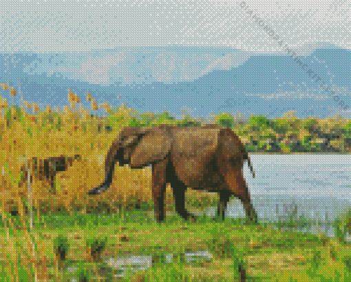 African Zambezi Nature 5D Diamond Painting