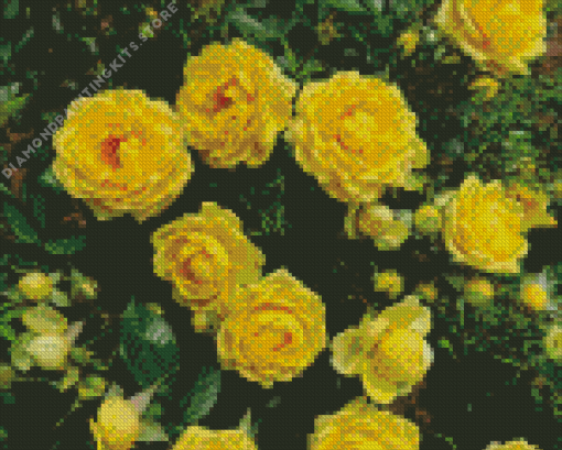 Yellow Austrian Briar Rose 5D Diamond Painting