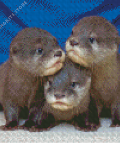 Baby Otter 5D Diamond Painting