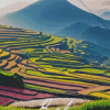 Bali Rice Terraces 5D Diamond Painting