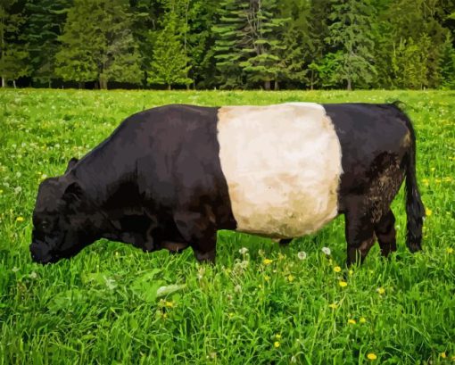 Belted Galloway 5D Diamond Painting