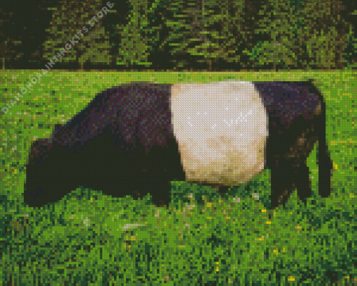 Belted Galloway 5D Diamond Painting