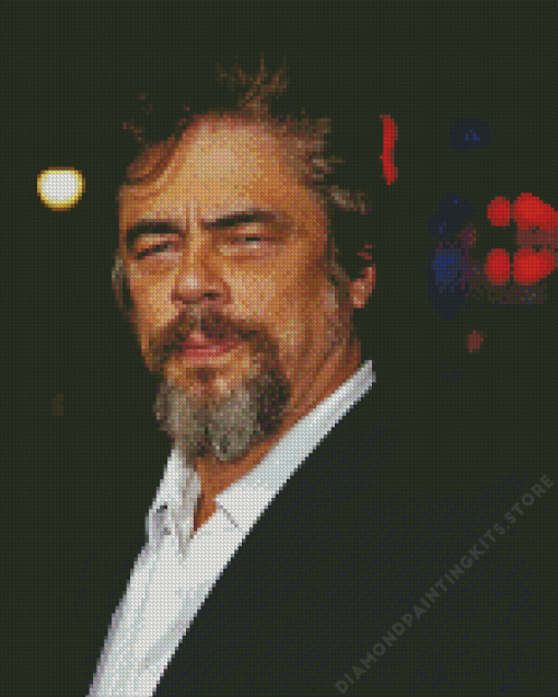 Benicio Del Toro 5D Diamond Painting