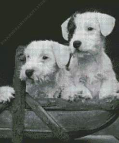 Black And White Sealyham Dogs 5D Diamond Painting