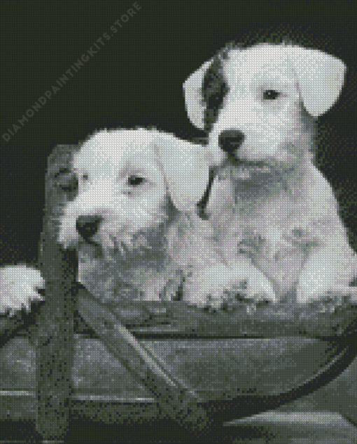 Black And White Sealyham Dogs 5D Diamond Painting