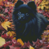 Black Pomeranian in Autumn 5D Diamond Painting