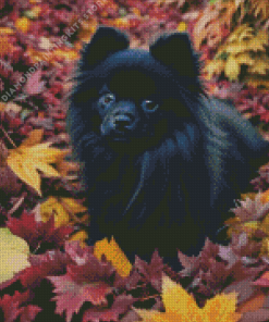 Black Pomeranian in Autumn 5D Diamond Painting
