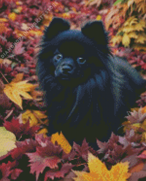 Black Pomeranian in Autumn 5D Diamond Painting