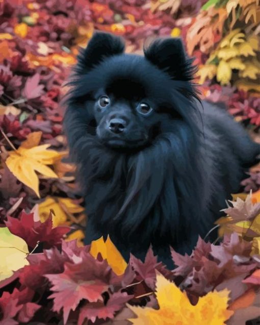 Black Pomeranian in Autumn 5D Diamond Painting