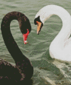 Black Swan and White Swan 5D Diamond Painting