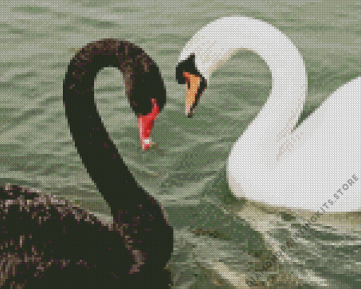 Black Swan and White Swan 5D Diamond Painting