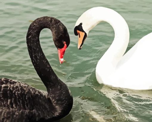 Black Swan and White Swan 5D Diamond Painting