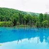 Blue Pond 5D Diamond Painting