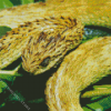 Bush Viper 5D Diamond Painting