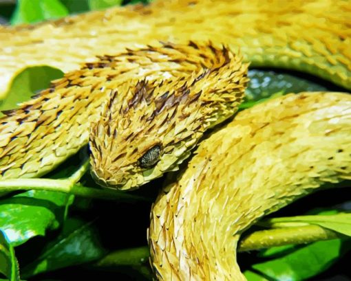 Bush Viper 5D Diamond Painting