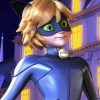 Cat Noir Adrien Agreste Miraculous 5D Diamond Painting