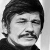 Charles Bronson 5D Diamond Painting