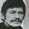 Charles Bronson 5D Diamond Painting