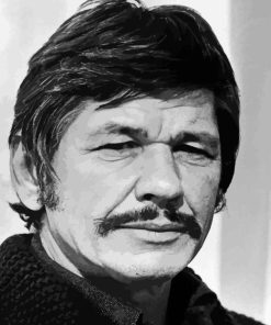 Charles Bronson 5D Diamond Painting