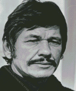 Charles Bronson 5D Diamond Painting