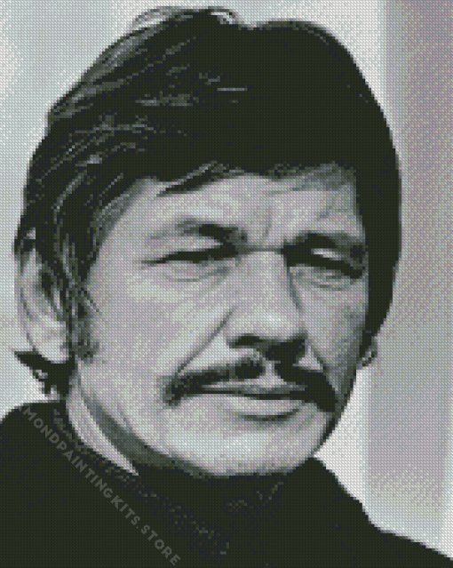 Charles Bronson 5D Diamond Painting