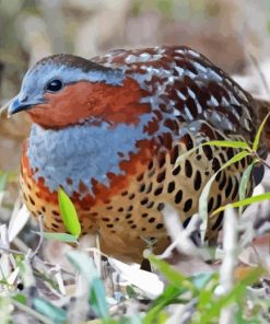 Chinese Bamboo Partridge 5D Diamond Painting