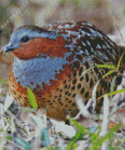 Chinese Bamboo Partridge 5D Diamond Painting