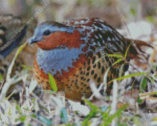 Chinese Bamboo Partridge 5D Diamond Painting