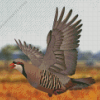 Chukar 5D Diamond Painting