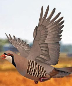 Chukar 5D Diamond Painting