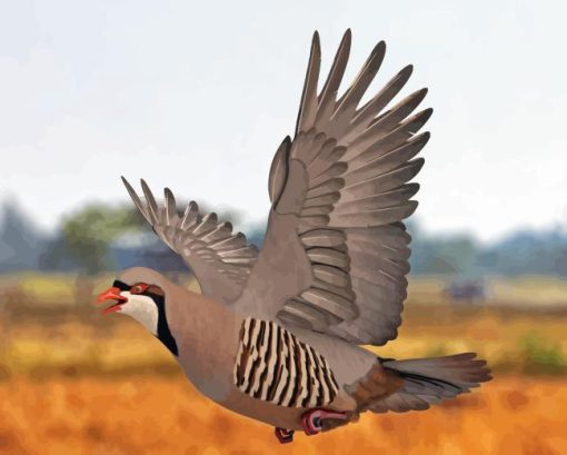 Chukar 5D Diamond Painting