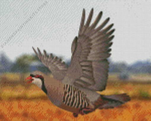 Chukar 5D Diamond Painting