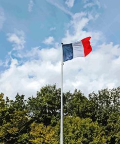 French Flag Diamond Painting