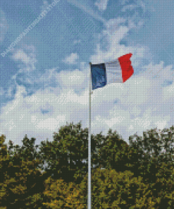 French Flag Diamond Painting