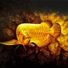 Golden Arowana Fish 5D Diamond Painting