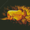 Golden Arowana Fish 5D Diamond Painting