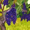 Grapevine Art 5D Diamond Painting