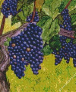 Grapevine Art 5D Diamond Painting