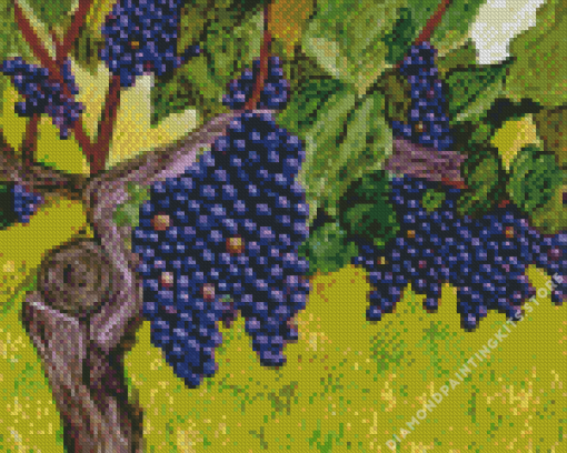 Grapevine Art 5D Diamond Painting