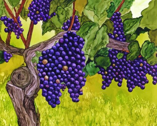 Grapevine Art 5D Diamond Painting