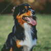 Herding Dog 5D Diamond Painting