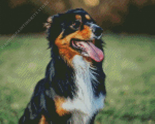 Herding Dog 5D Diamond Painting