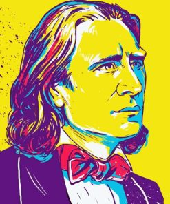 Illustration Franz Liszt 5D Diamond Painting