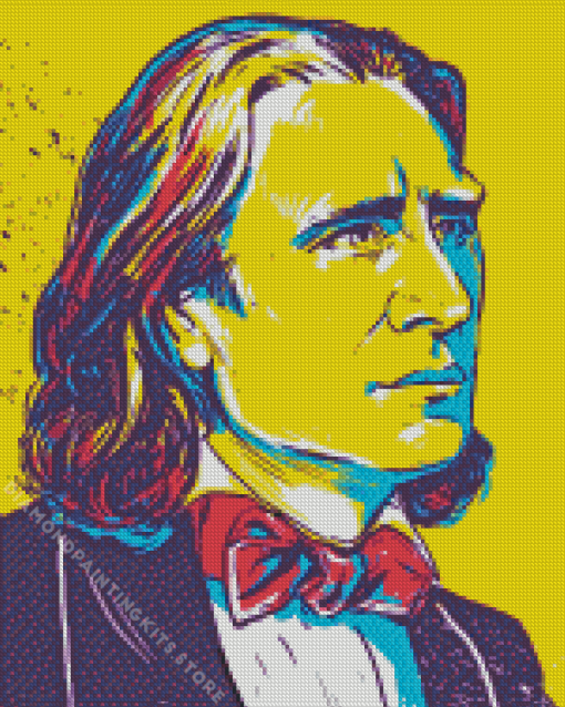 Illustration Franz Liszt 5D Diamond Painting